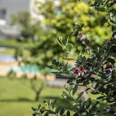 ベッド・アンド・ブレックファスト Agro Sicily 4*