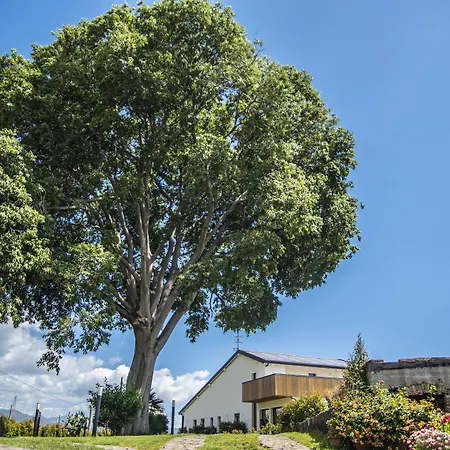 Agro Sicily Bed & Breakfast