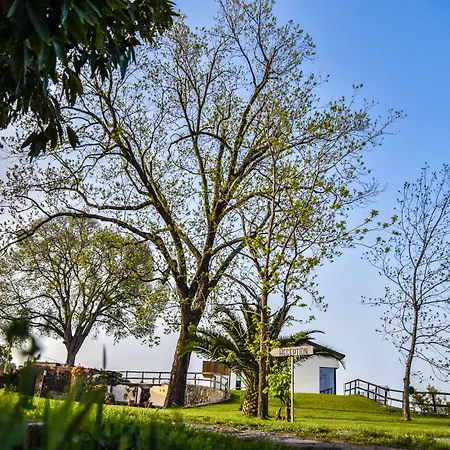 Agro Sicily 4* Mascali